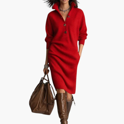 Elaris | Long Sleeve High Neck Midi Dress