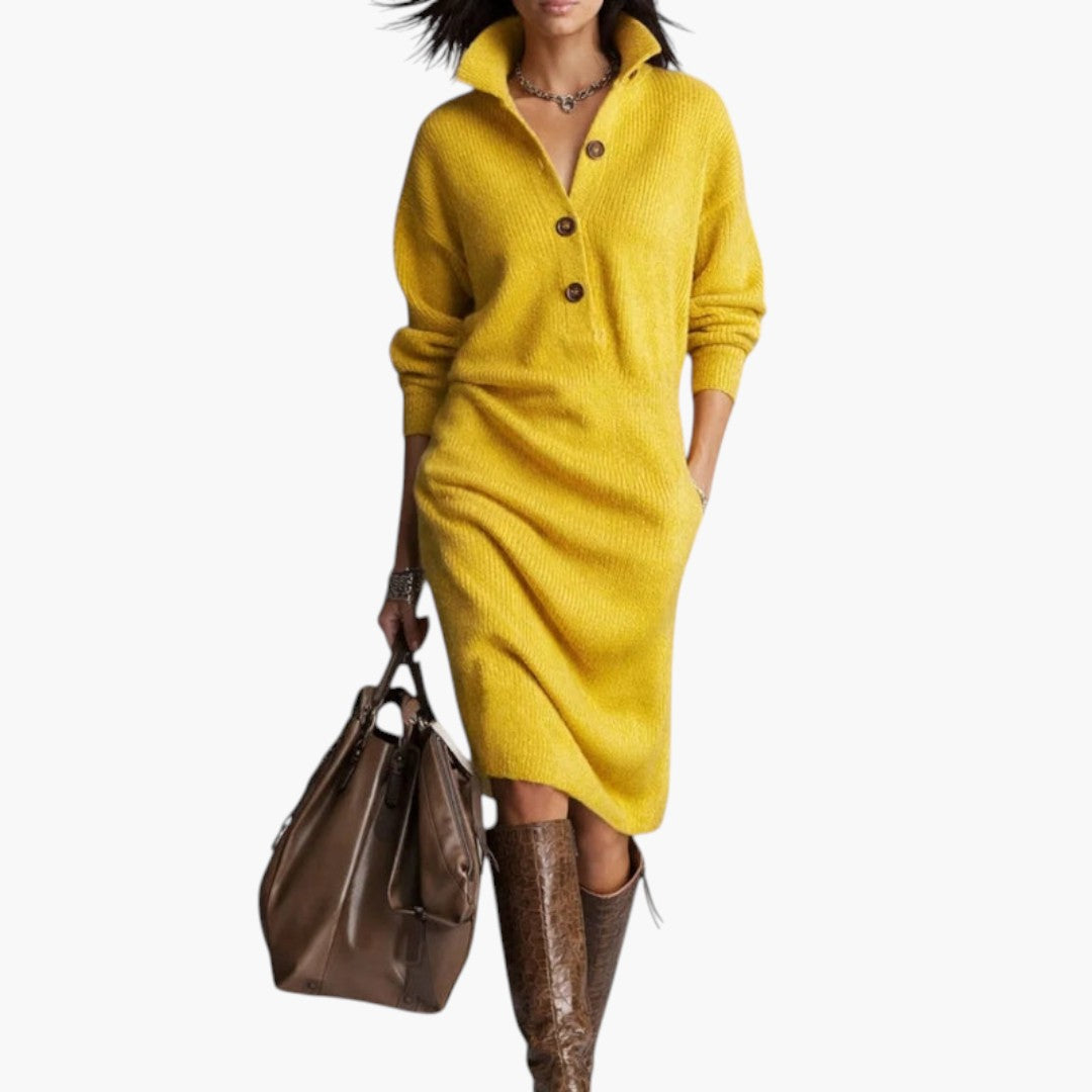 Elaris | Long Sleeve High Neck Midi Dress