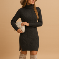 Serina | Turtleneck Knit Sweater Dress